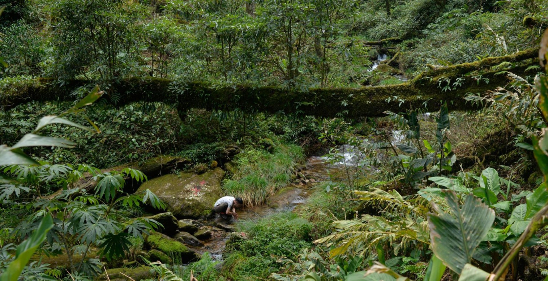 37810463_2103136543346073_4945043933785751552_o