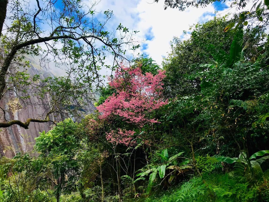 ckxxc5m1800ap01lootqm845r-kinh-nghiệm-chinh-phục-đỉnh-pờ-ma-lung-bức-tường-miền-biên-viễn4.full